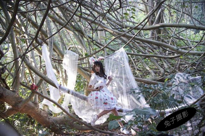 摄影光源的选择