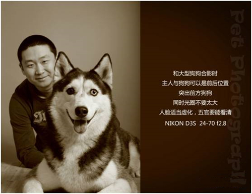 宠物摄影图片-图片30