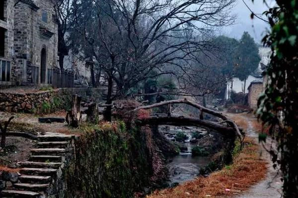 皖南古村落——查济古镇摄影图片-图片2