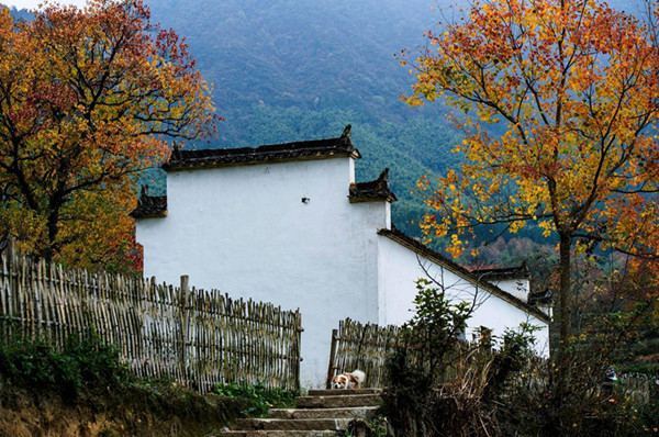 安徽塔川秋色高清大图