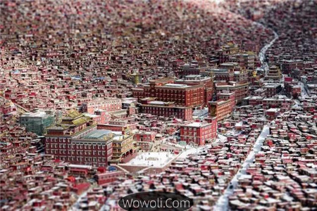 佳能6d拍的照片欣赏