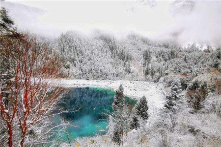 世界雪景照片大全
