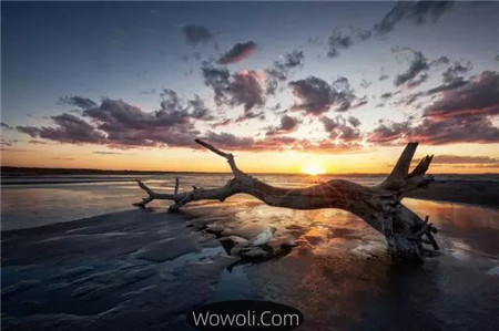 佳能6d拍的照片欣赏