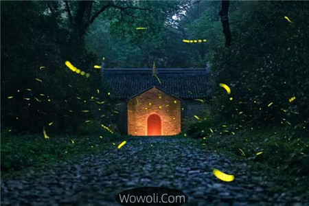 佳能6d拍的照片欣赏