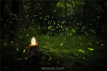 佳能6d拍的照片欣赏